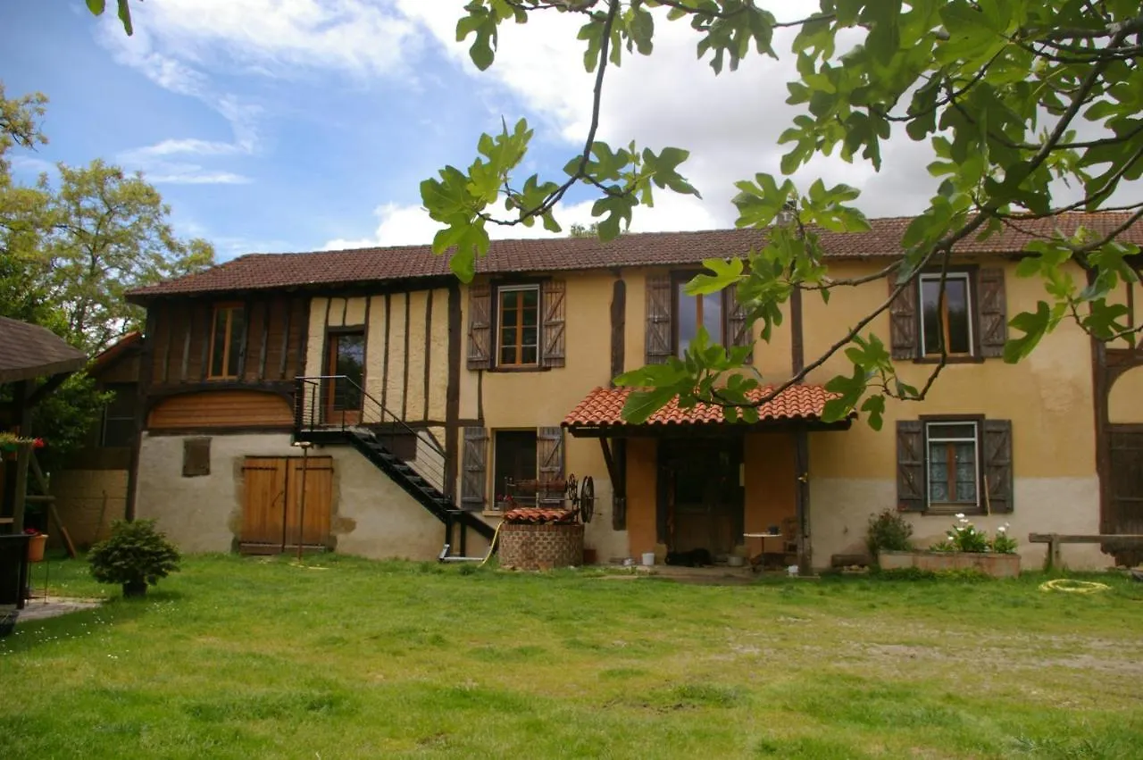 Gîte l'appel de la Forêt Betplan Hébergement de vacances