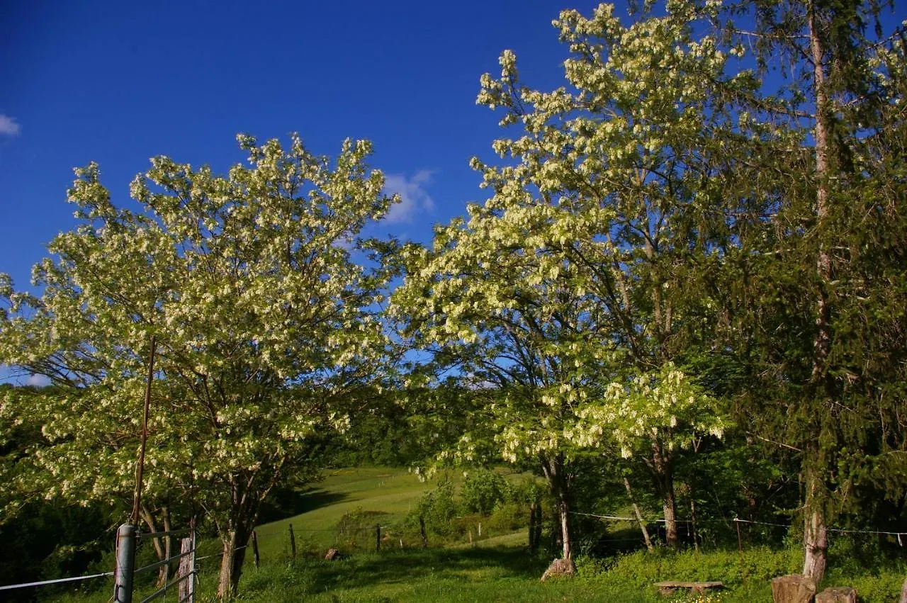 Hébergement de vacances Gîte l'appel de la Forêt Betplan