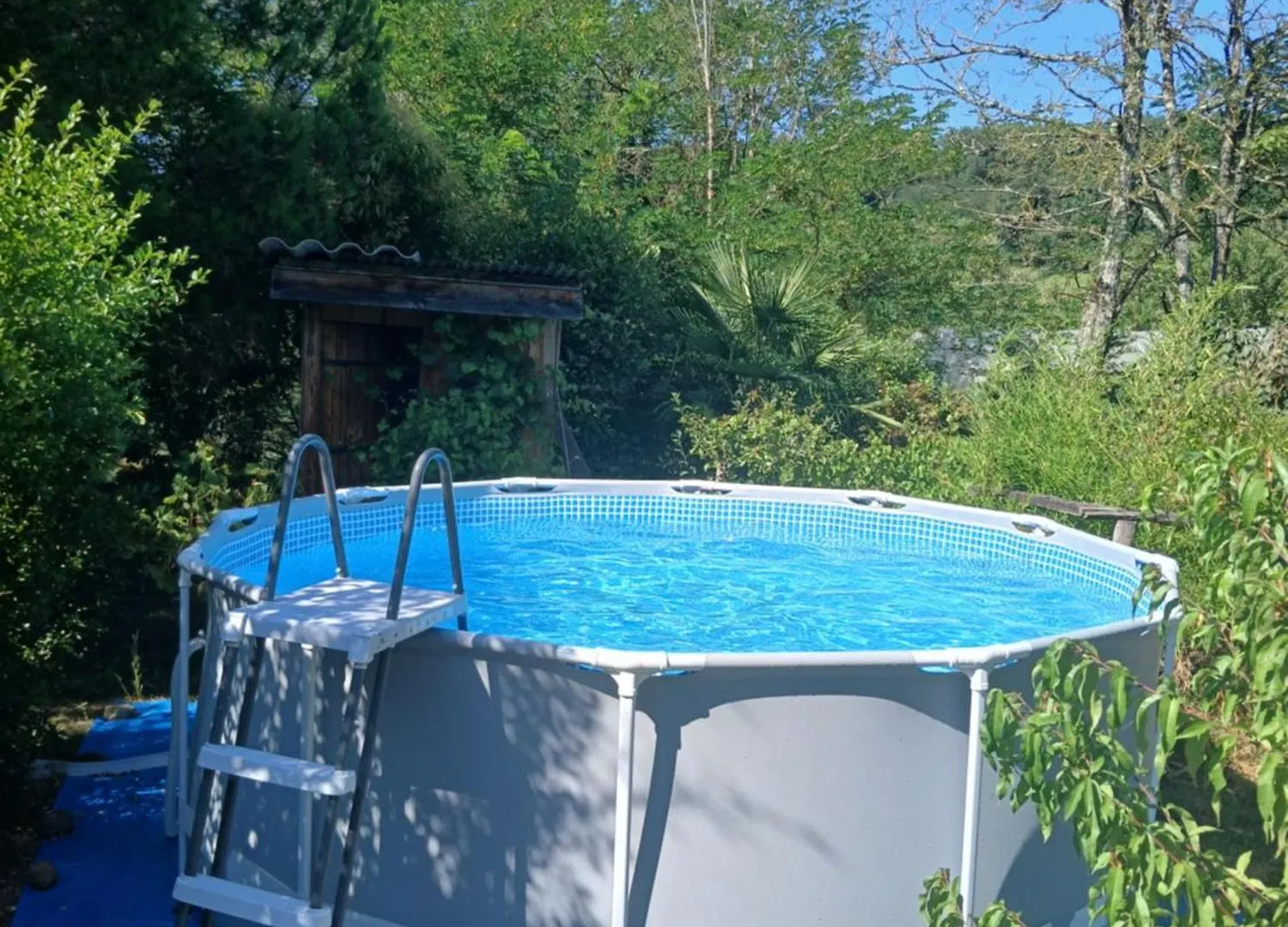 Gîte l'appel de la Forêt Betplan